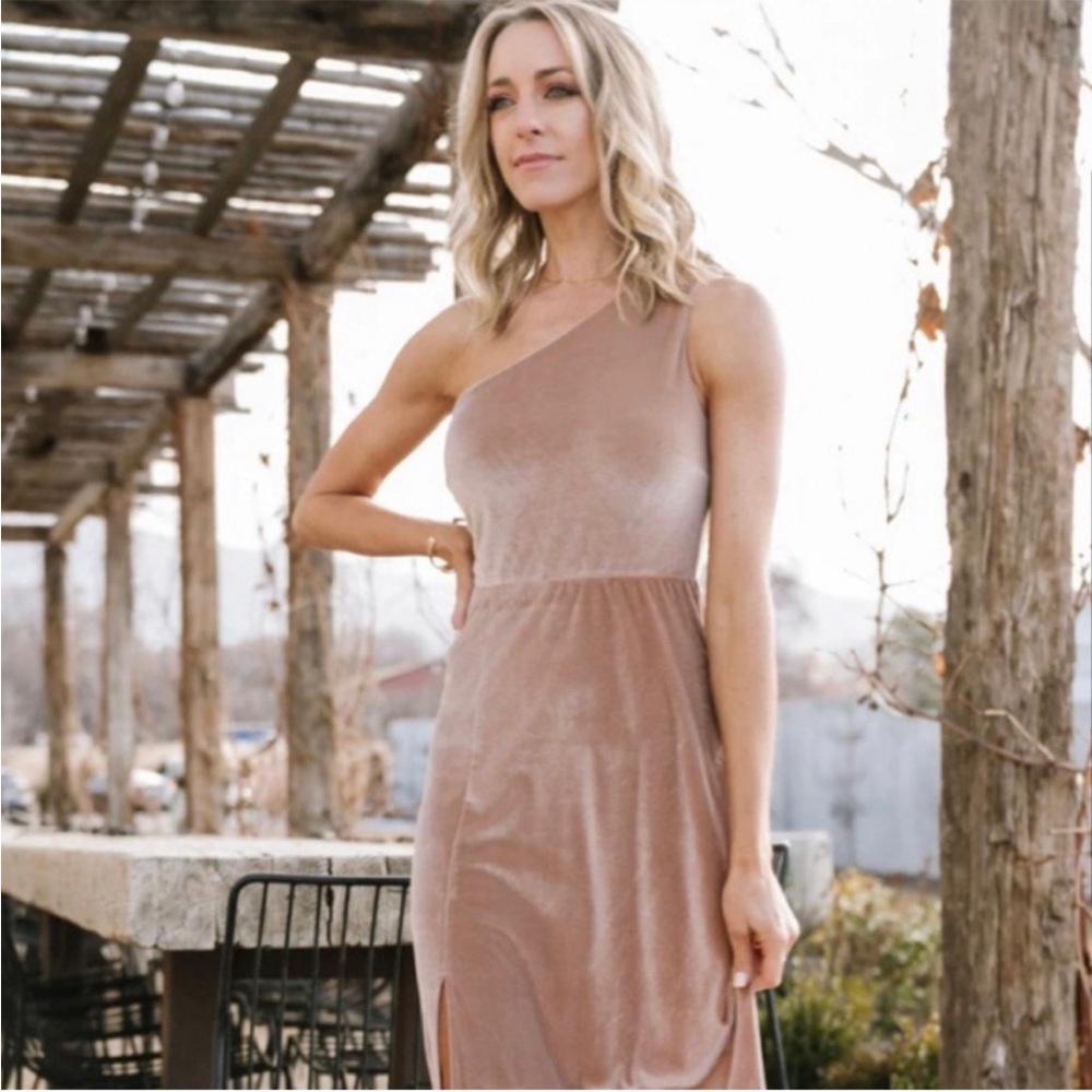 NWT Baltic Born Tatiana velvet champagne dress